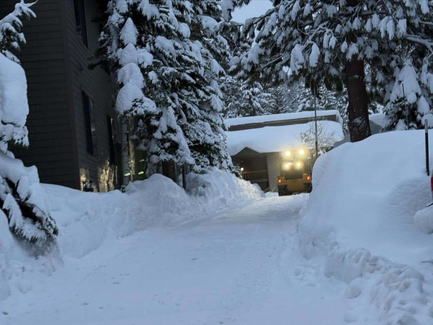 Snow 15